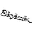 1968-70 Buick Skylark; Trunk Lid Emblem; Skylark Nameplate Script