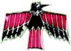 1968-69 Firebird; Door Panel Emblem; Deluxe Interior; Bird Design