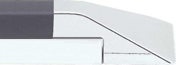 1970-81 Camaro / Firebird; 1981-87 Regal; Protective Side Molding Set; Black