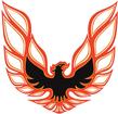 1973-78 Firebird / Trans AM Custom Black / Light Orange / Dark Orange Sail Panel Bird Decal