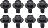 Hex Head Body Bolt Set; 3/8"-16 x 7/8"; For Hood Hinges; 8-Pieces; Stainless; Black Oxide Finish