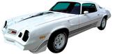 1980-81 Camaro Z28 Silver / Charcoal / Dark Charcoal Stripe Decal Set
