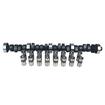 1967-76 Buick 400/430/455; High Energy 206/206 Hydraulic Flat Tappet Camshaft & Lifter Kit