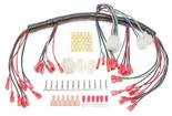 Painless Gauge Harness for Electric Speedometer; Universal Fit