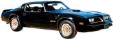 1976-78 Pontiac Trans-Am; Special Edition Hood Bird Decal; Black Center with Matte Gold / Light Gold 