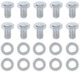 Chrome Hex Head 10 Bolt Differential Cover Bolt Set with RS Logo (5/16"-18 X 1/2" Bolts)