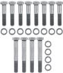Small Block Stainless Steel Exhaust Manifold Bolts with Bow Tie Logo