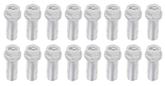 Big Block Chrome Header Bolts with Bow Tie Logo