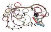 1997-04 LS1/LS6 Engines; Painless Fuel Injection Wiring Harness; Standard Length