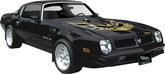 1973-78 Trans-Am (except "Special Edition") Black / Light Gold / Yellow-Orange / Black Decal Set