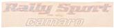 1978-79 Rally Sport Camaro Front Fender Decal - NOS GM
