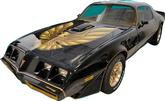 1980 Trans-Am Special Edition Bandit 5 Color Dark Gold Decal Sit with Roll of Stripes