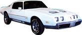 1979-81 Firebird Formula Light Gold / Medium Gold / Dark Gold with Dark Blue Door Decals Graphic Set