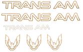 1991-92 Trans-Am Gold Decal Set