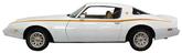 1979-81 Firebird Esprit Dark / Medium / Light Orange with Gold Hightlights Decal / Stripe Set
