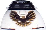 1979-81 Firebird Esprit Dark / Medium / Light Red with Gold Hightlights Decal / Stripe Set