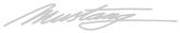 Ford Mustang; Windshield Decal; 5" X 32"; "Mustang" Script; Silver