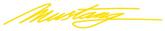 Ford Mustang; Windshield Decal; 5" X 32"; "Mustang" Script; Yellow