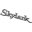 1968-72 Buick Skylark; Quarter Panel Emblem; Skylark Nameplate Script