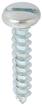 #10 x 1" Slotted Pan Head Tapping Screw; Zinc Chromate