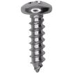 Phillips Pan Head Tapping Screw; 18-8 Stainless Steel; # 8 X 5/8" L