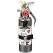 Amerex Fire Extinguisher; Purple K Dry Chemical; 1-Pound Capacity; 376TC Chrome