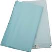 1958 Impala 2 Door Hardtop Aqua Star Headliner