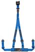 Corbeau 3-Point Bolt-In Harness Retractable Seat Belts; 2-Inch; Blue