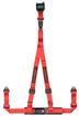 Corbeau 3-Point Bolt-In Harness Retractable Seat Belts; 2-Inch; Red