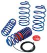1979-04 Mustang Eibach Drag-Launch Performance Springs