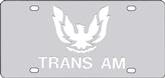 Stainless License Plate Firebird/Trans AM Early Design Mirror/Mirror