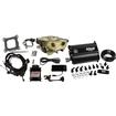 FiTech; Go EFI Classic EFI System; With Force Fuel Delivery; Master Kit; 650 HP; Gold Finish