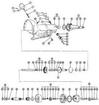 Output Complete Carrier Assembly