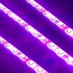 Universal Engine Bay LED Lighting Kit - Purple