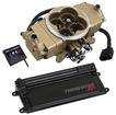 Holley; Terminator Stealth EFI; Conversion Fuel System Kit; With Transmission Control; Classic Gold Finish