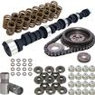 Camshaft, Lifters, Timing Kit And Valve Spring Kit