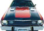 1973 Duster Hood & Cowl Black Out Pinstripes