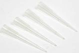 Plastex Applicator Needle Refills - 4 Pack