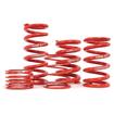 H&R 2.5" I.D. Race Coilover Spring; 150 lbs./in. Rate; 10 in. Length; 2.50 in. I.D.; Red Powdercoated
