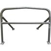 1965-70 Ford Mustang; Shelby Fastback; R Model Type; Roll Bar