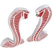 1979-04 Ford Mustang; Fender Emblems; Cobra Snake; Chrome With Red Accents; 2.75"